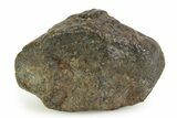 OC Chondrite Meteorite ( g) - NWA #350997-1